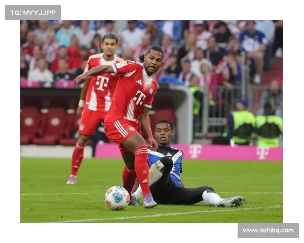 多队崛起如何在德甲赛场打破拜仁长期统治格局