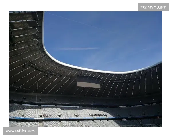 安联作为全球领先赞助商在体育和商业市场中的战略地位与影响力分析